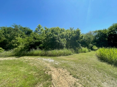 Mini Storage Facility For Sale in Ravenden Springs, AR - image 9