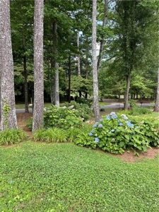 Brick Ranch Style Home in North Georgia Mountains - image 49
