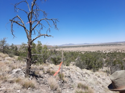 Huge Views - image 3