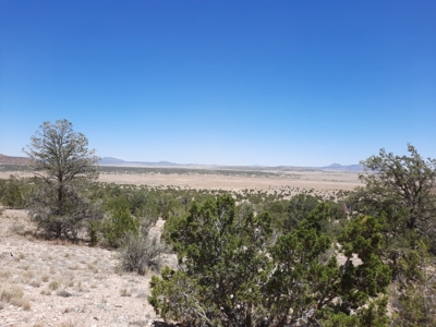 Huge Views - image 4