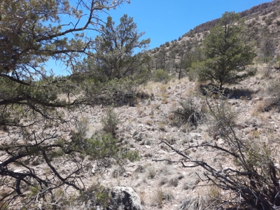 Huge Views - image 1