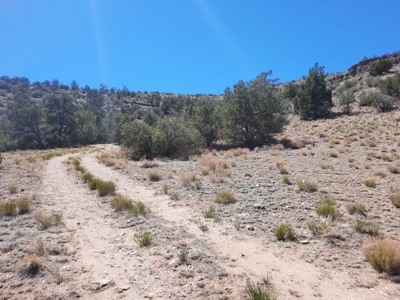Huge Views - image 10
