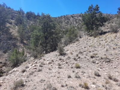 Huge Views - image 6