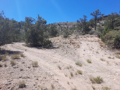 Huge Views - image 9