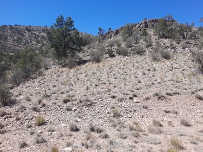 Huge Views - image 5