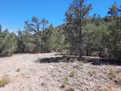 Huge Views - image 8