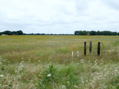 North East Texas Land For Sale in Commerce - image 3