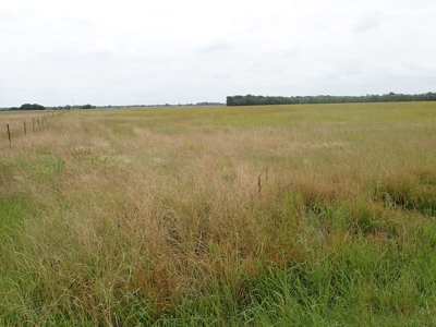 North East Texas Land For Sale in Commerce - image 6