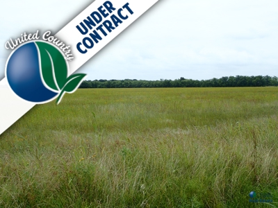 North East Texas Land For Sale in Commerce - image 9