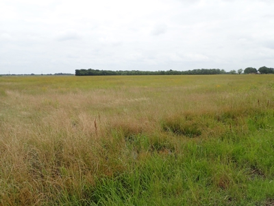North East Texas Land For Sale in Commerce - image 5