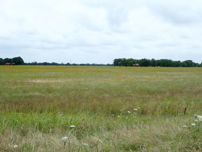 North East Texas Land For Sale in Commerce - image 2