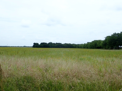 North East Texas Land For Sale in Commerce - image 8