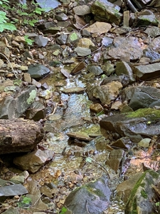 Hunting & Recreational Land For Sale in Hancock County, TN - image 16