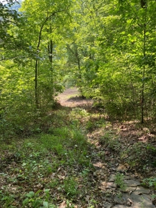 Hunting & Recreational Land For Sale in Hancock County, TN - image 25
