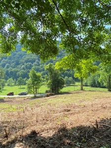 Hunting & Recreational Land For Sale in Hancock County, TN - image 5