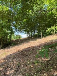 Hunting & Recreational Land For Sale in Hancock County, TN - image 11