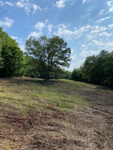 Hunting & Recreational Land For Sale in Hancock County, TN - image 2