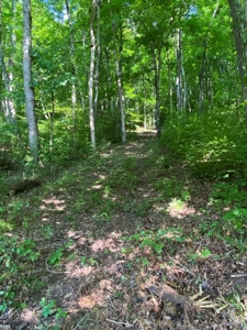 Hunting & Recreational Land For Sale in Hancock County, TN - image 3