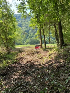 Hunting & Recreational Land For Sale in Hancock County, TN - image 1