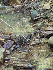 Hunting & Recreational Land For Sale in Hancock County, TN - image 15