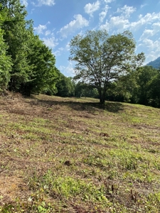 Hunting & Recreational Land For Sale in Hancock County, TN - image 7