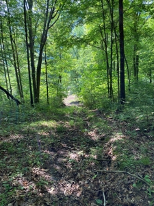 Hunting & Recreational Land For Sale in Hancock County, TN - image 19