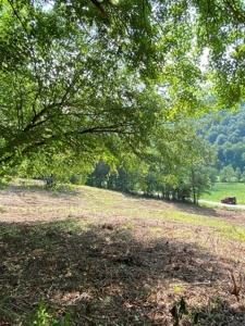 Hunting & Recreational Land For Sale in Hancock County, TN - image 6