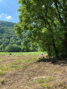 Hunting & Recreational Land For Sale in Hancock County, TN - image 27