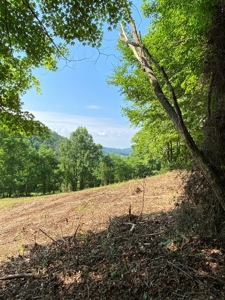 Hunting & Recreational Land For Sale in Hancock County, TN - image 4