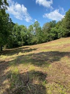 Hunting & Recreational Land For Sale in Hancock County, TN - image 17