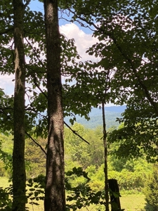 19 Acres Unrestricted Land In Hancock Co., TN For Sale - image 10