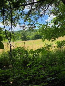 19 Acres Unrestricted Land In Hancock Co., TN For Sale - image 1