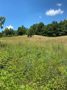 19 Acres Unrestricted Land In Hancock Co., TN For Sale - image 12