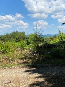 19 Acres Unrestricted Land In Hancock Co., TN For Sale - image 4