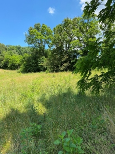 19 Acres Unrestricted Land In Hancock Co., TN For Sale - image 14