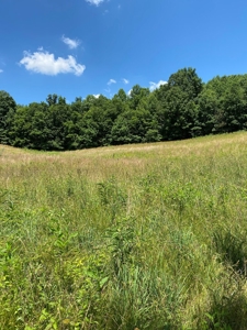 19 Acres Unrestricted Land In Hancock Co., TN For Sale - image 13