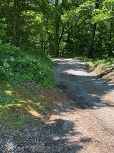 19 Acres Unrestricted Land In Hancock Co., TN For Sale - image 3