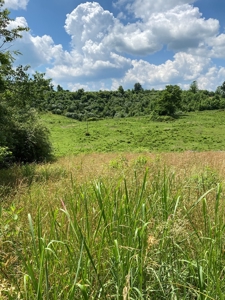 16 Acres Unrestricted Land in East TN For Sale - image 20