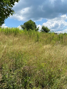 16 Acres Unrestricted Land in East TN For Sale - image 18