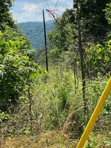 16 Acres Unrestricted Land in East TN For Sale - image 23