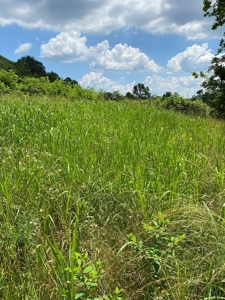 16 Acres Unrestricted Land in East TN For Sale - image 22