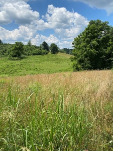 16 Acres Unrestricted Land in East TN For Sale - image 19