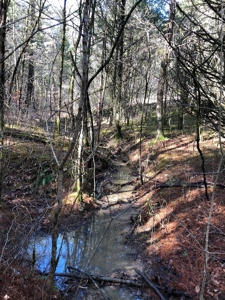 46 Acres Unrestricted Land For Sale in Greene Co., TN - image 7