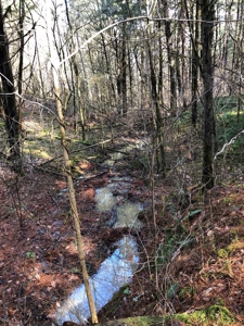 46 Acres Unrestricted Land For Sale in Greene Co., TN - image 8