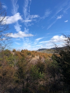 46 Acres Unrestricted Land For Sale in Greene Co., TN - image 12