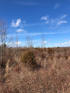 46 Acres Unrestricted Land For Sale in Greene Co., TN - image 1