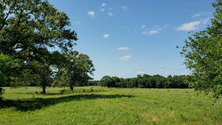 Large Waterfront Acreage Tract For Sale On Lake Palestine - image 47
