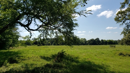 Large Waterfront Acreage Tract For Sale On Lake Palestine - image 46