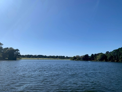 Large Waterfront Acreage Tract For Sale On Lake Palestine - image 33