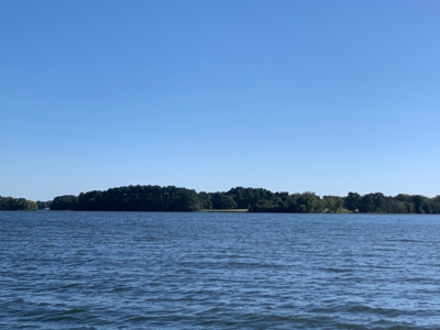 Large Waterfront Acreage Tract For Sale On Lake Palestine - image 34